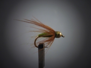 Size 12 Caddis Pupa Olive Bead Head